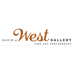 David West Gallery